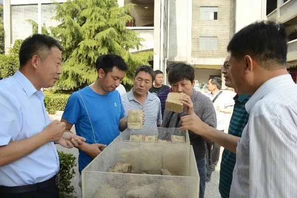 1599030538360606.jpg 洋河紅星參觀2.webp.jpg